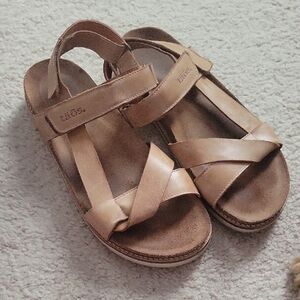Taos Footwear Women's Brown Strappy Sandals